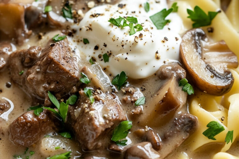 Sopa de Beef Stroganoff